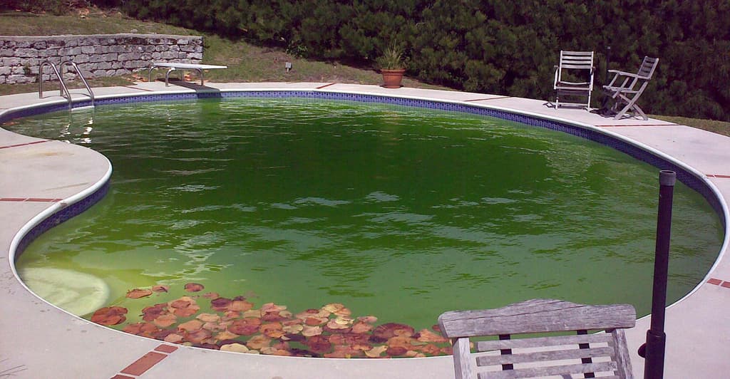 The Pool Surgeon — Pool Services in Tauranga