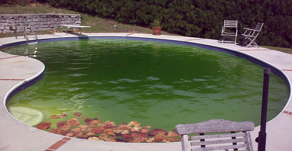 The Pool Surgeon — Pool Services in Tauranga