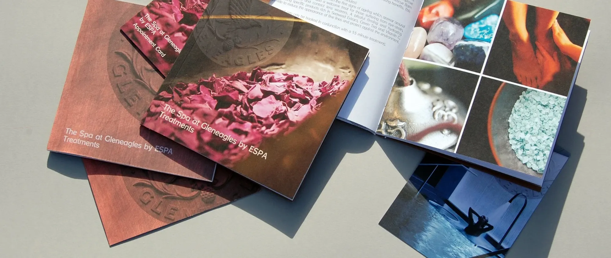 December & Co — Graphic Designers in Dunedin