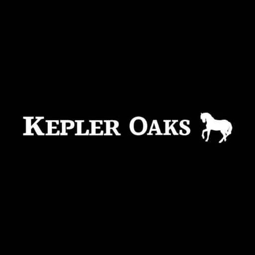 Kepler Oaks Chalet