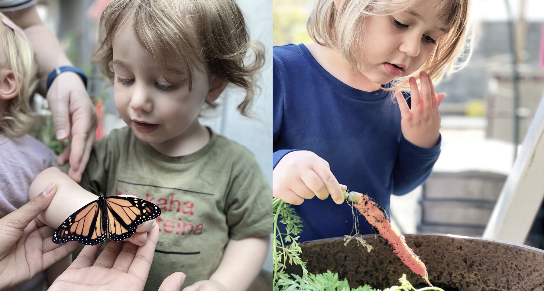 Nurture Early Learning — Childcare Centres in Maungakiekie-Tāmaki