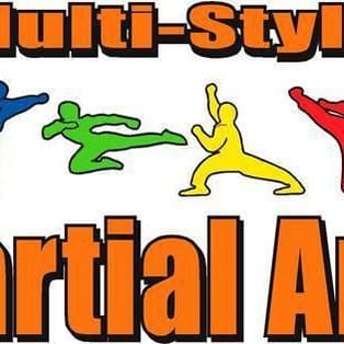 Multi Style Martial Arts Academy