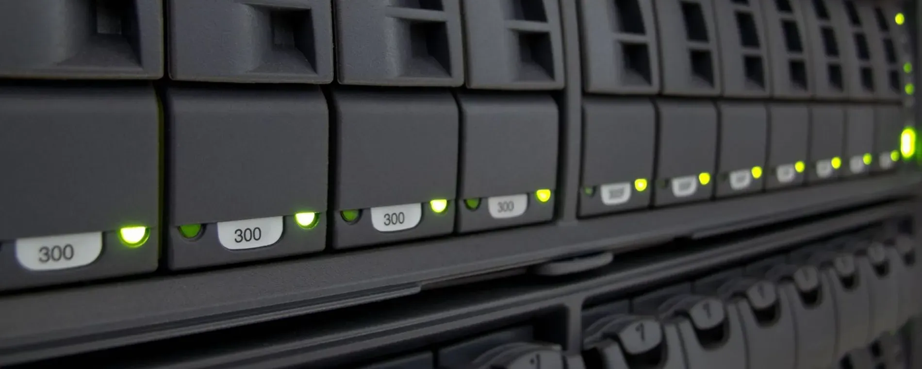 Web Hosting Services — Web Hosting Services in Hamilton