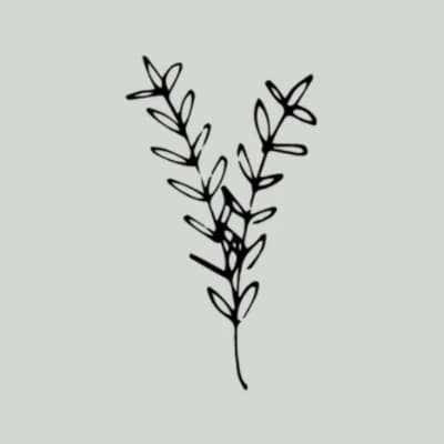 The Organic Chiropractic Co logo
