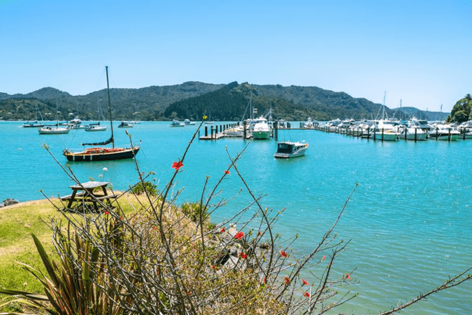 Travel By Design — Creative Agencies in Wellington