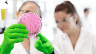 Roche Products — Professional Services in Auckland