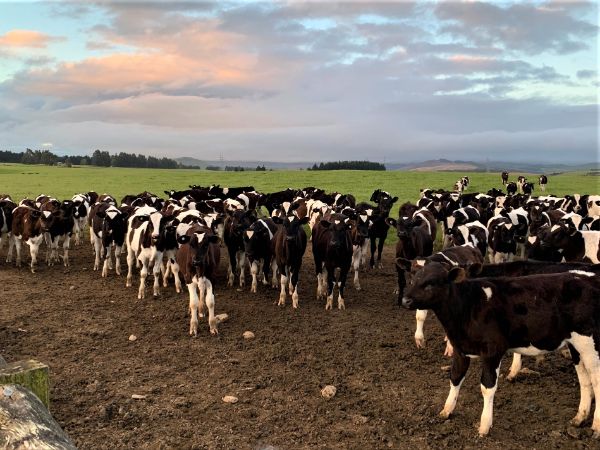 West Range Station — Agricultural Services in Otautau