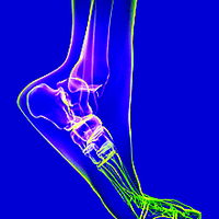 Mobile Feet Podiatry