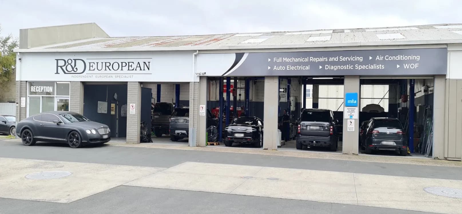 R&D European — Mechanics in Dunedin