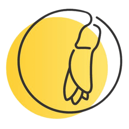 Kōwhai Massage Studio logo