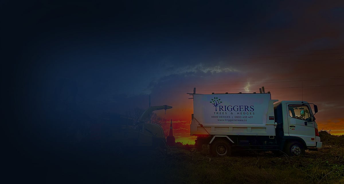 Triggers Trees and Hedges — Arborists in Hamilton