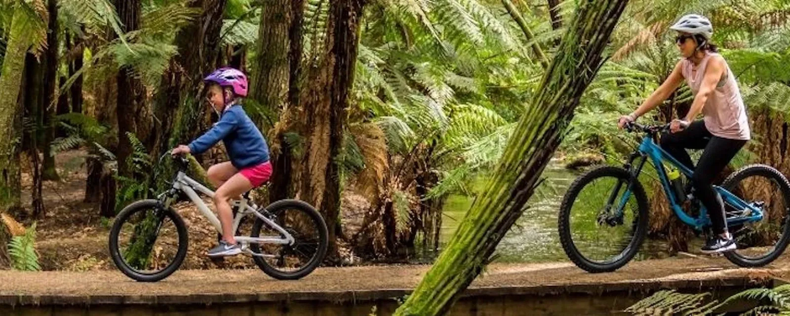 Foleys Rotorua — Plumbers in Rotorua