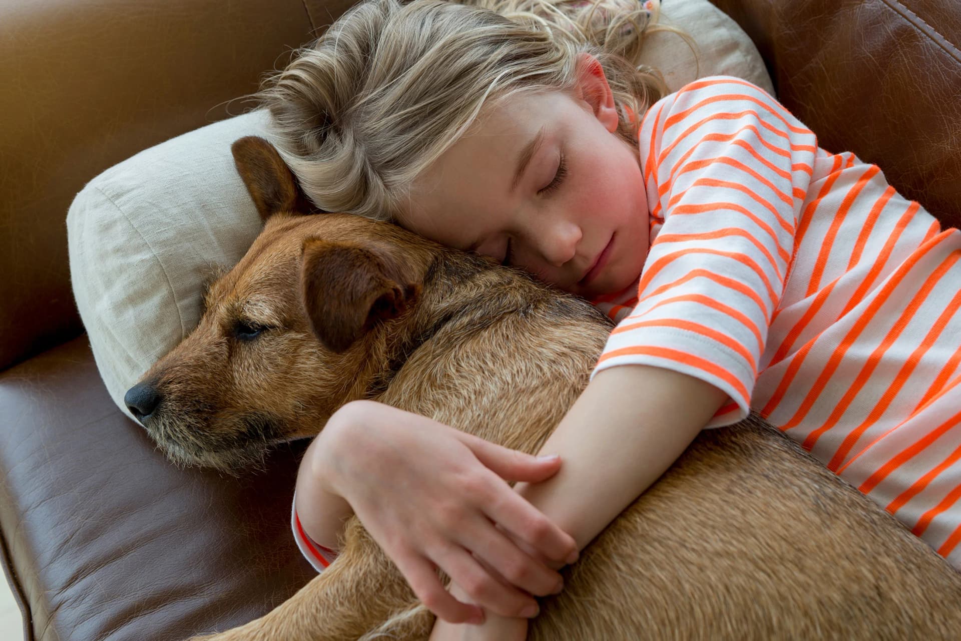 Northlands Animal Care Hospital — Vets in Christchurch