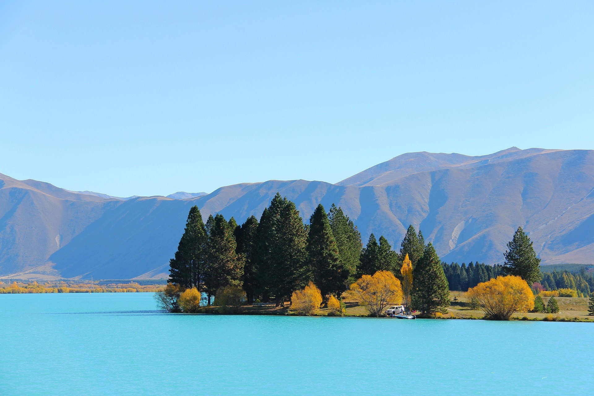Immigration — Immigration Consultants in Auckland