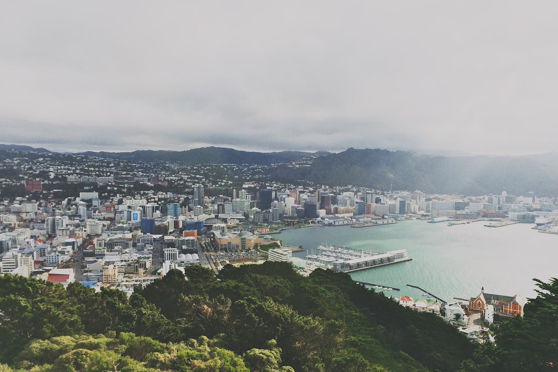 Inline Drainage — Plumbers in Wellington