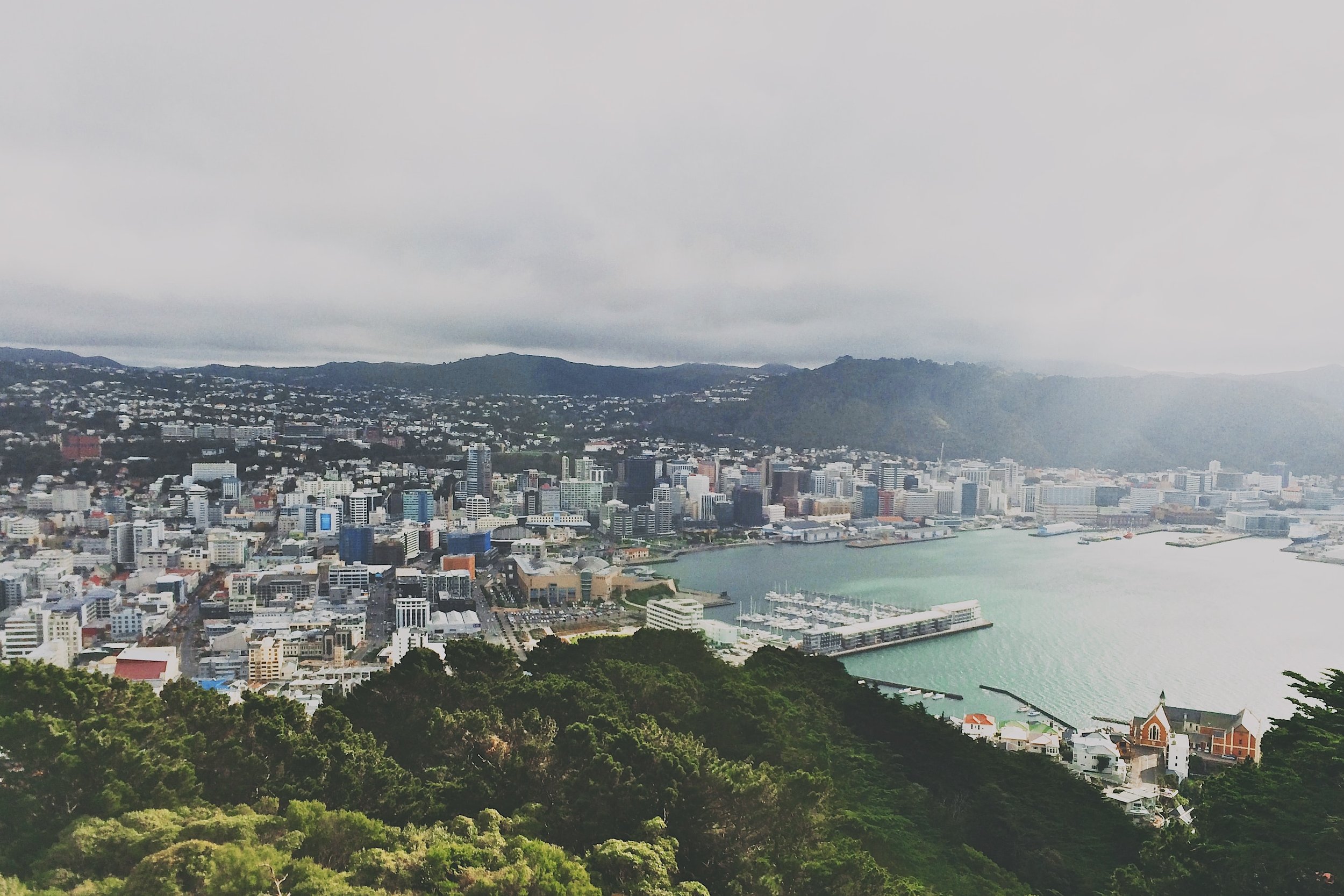 Inline Drainage — Plumbers in Wellington