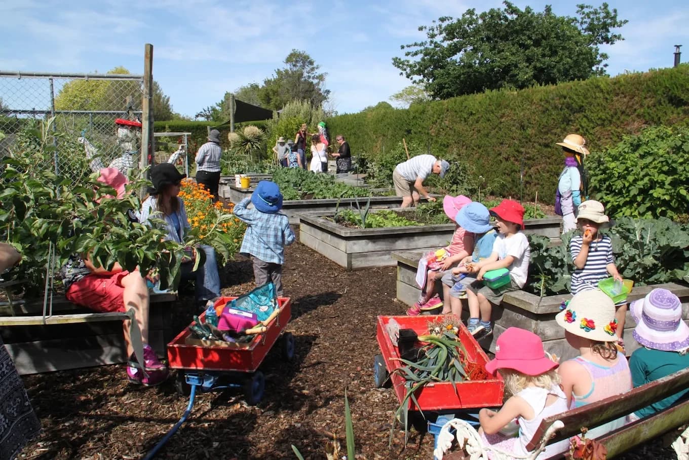 Lincoln Envirotown Trust — Non Profit Organisations in Lincoln