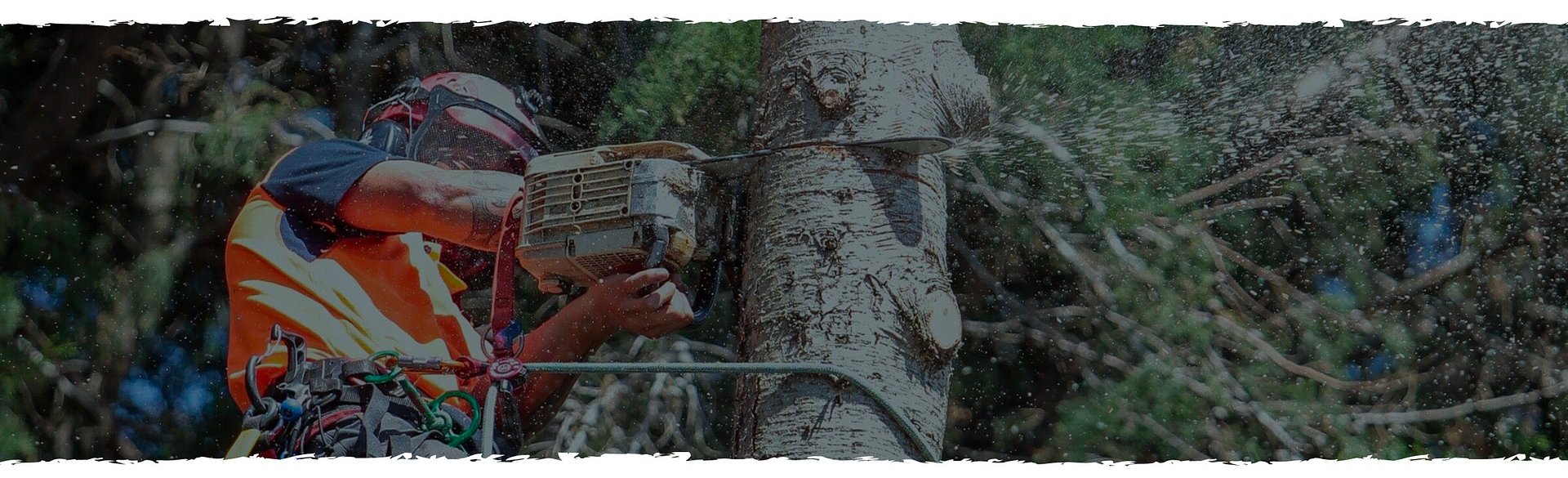 Ashby Tree Services — Landscaping Services in New Zealand