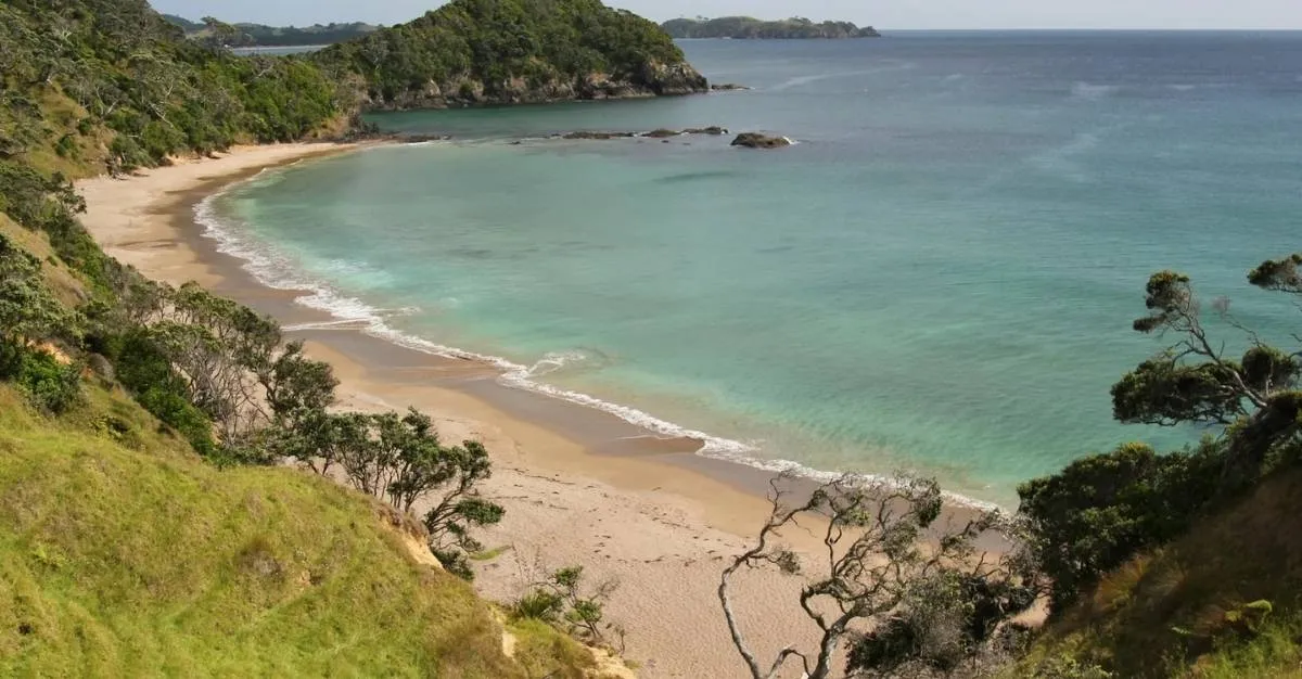 Positive Psychology & Psychotherapy — Counselling Services in Christchurch