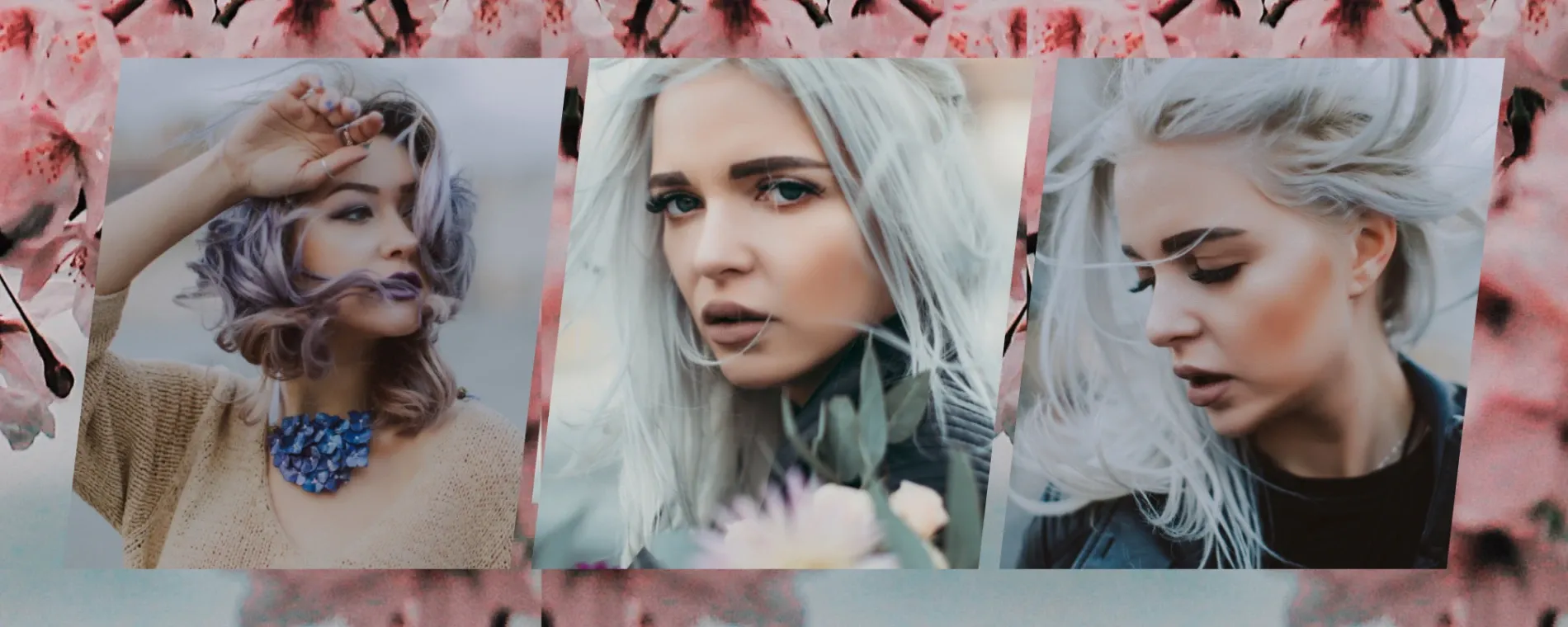 Kelly Russell Hairdressing — Hair Salons in Auckland