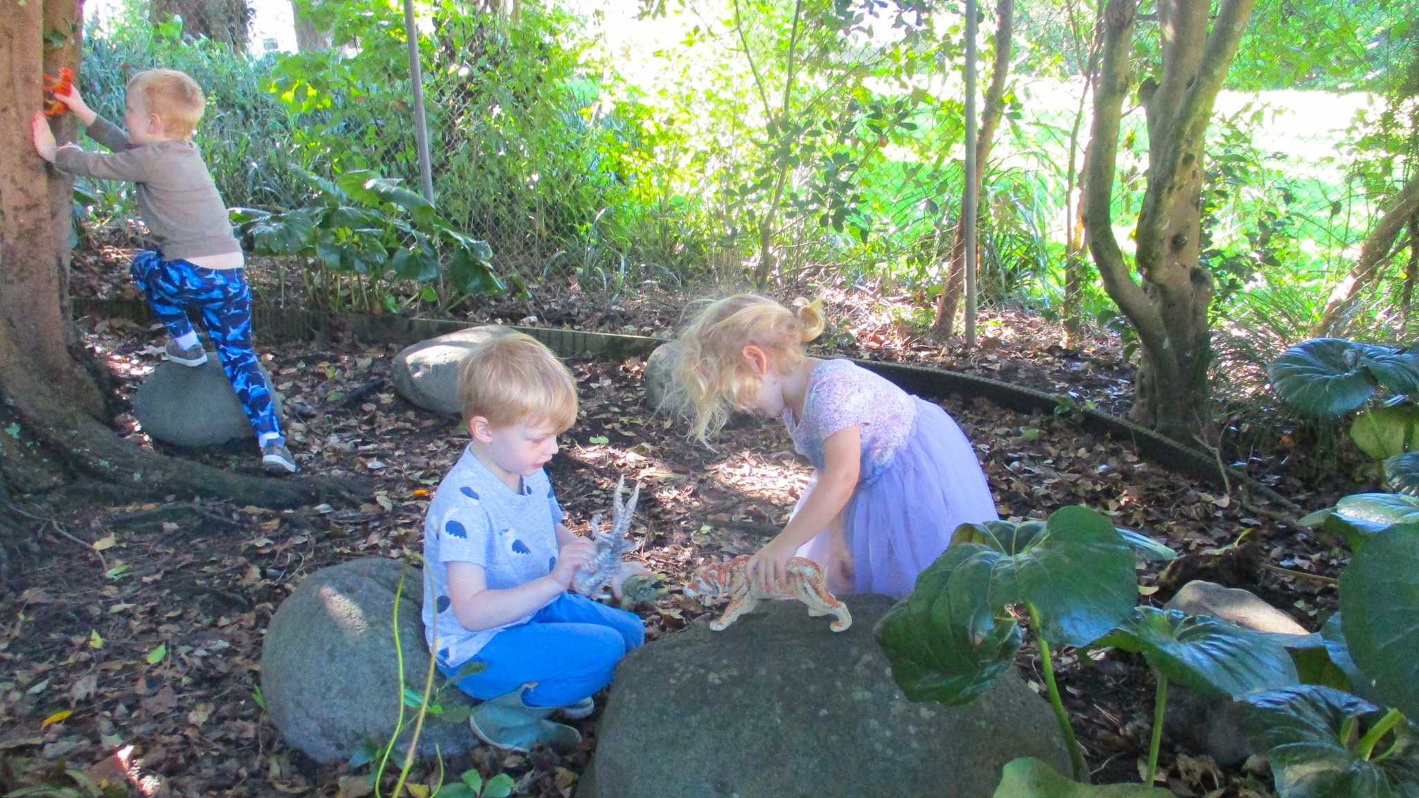 Remuera Kindergarten — Childcare Centres in Ōrākei