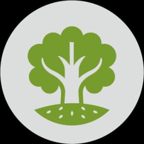Kauri Seeds Preschool