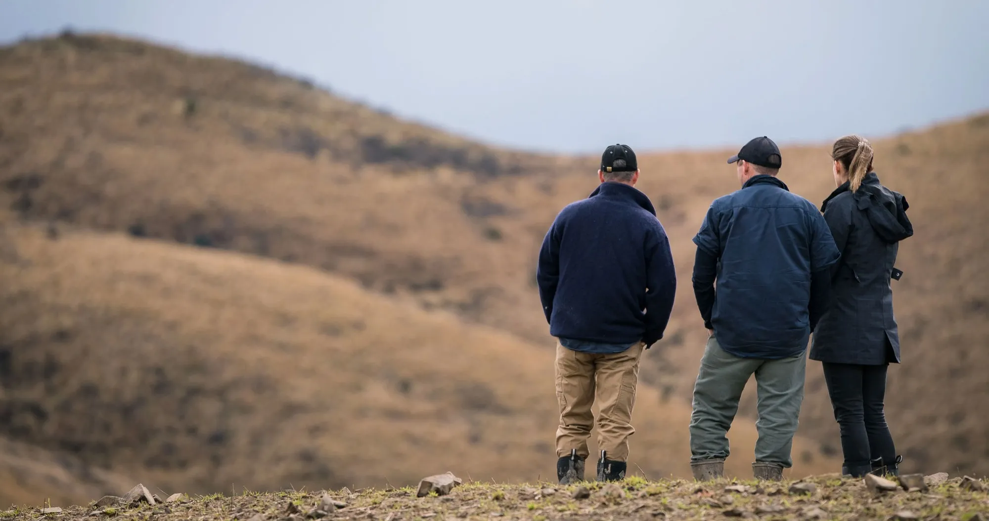Landpro Ltd — Surveyors in Cromwell