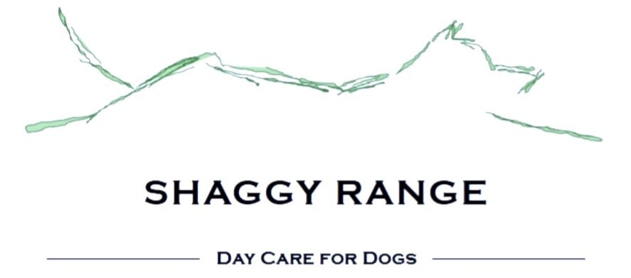 Shaggy Range — Pet Care Services in Havelock North