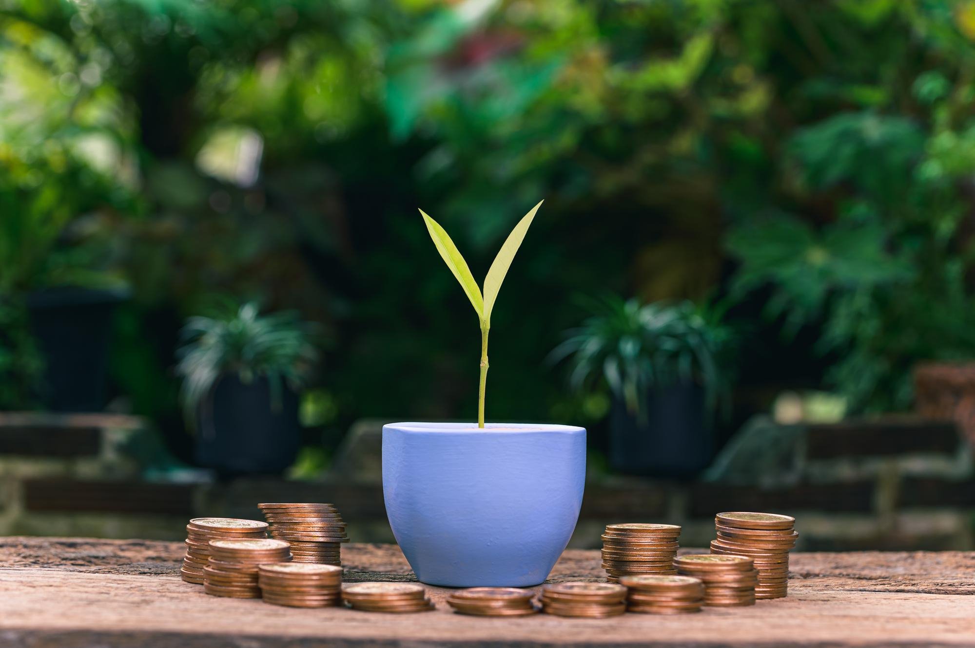 Broker Intel — Financial Services in Wellington
