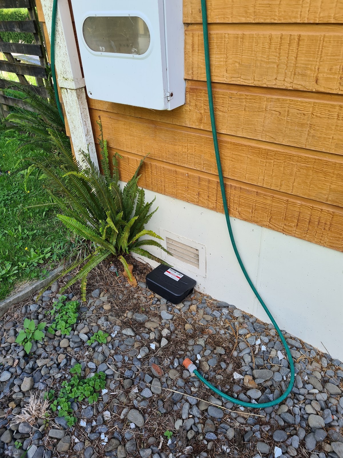 Pestworks — Pest Control Services in Tauranga