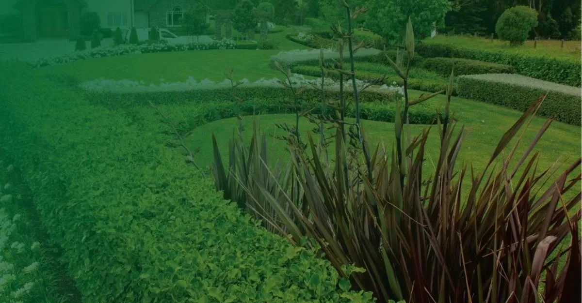 Smart Garden — Gardening Services in Auckland