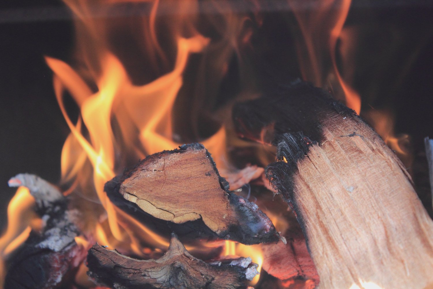 Firewood King — Garden Centres in Dunedin