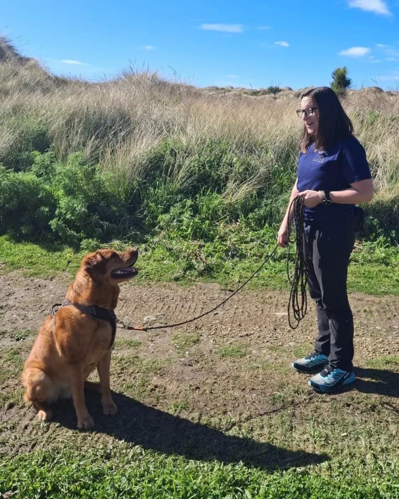 Fido & Felix — Pet Stores in Darfield