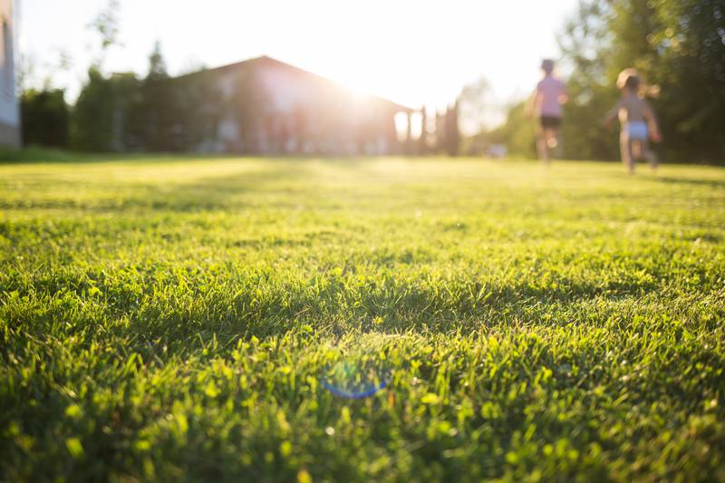 Total Lawn Solutions — Landscaping Services in Christchurch