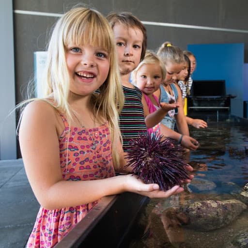 Goat Island Marine Discovery Centre