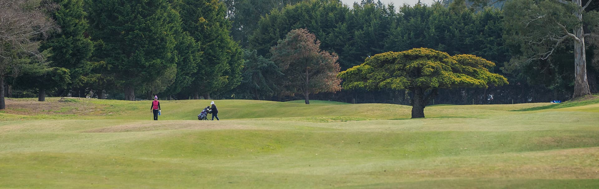 Kaiapoi Golf Club — Sport & Recreation in Kaiapoi