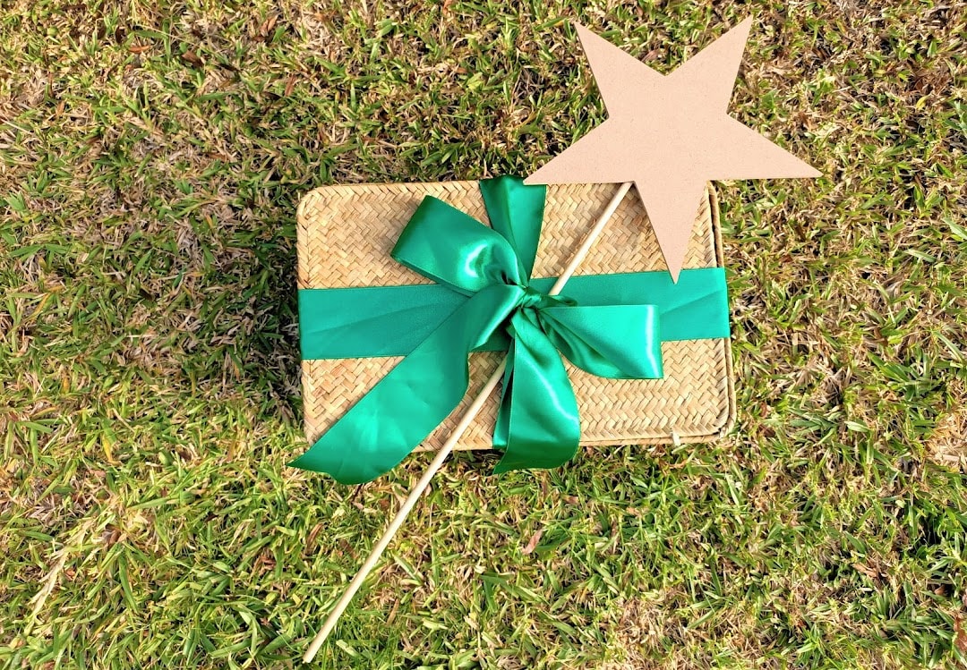 The Party Godmother — Rental Services in Mount Maunganui