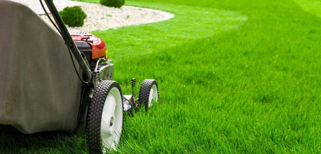 Express Lawn Mowing Wellington — Gardening Services in Wellington