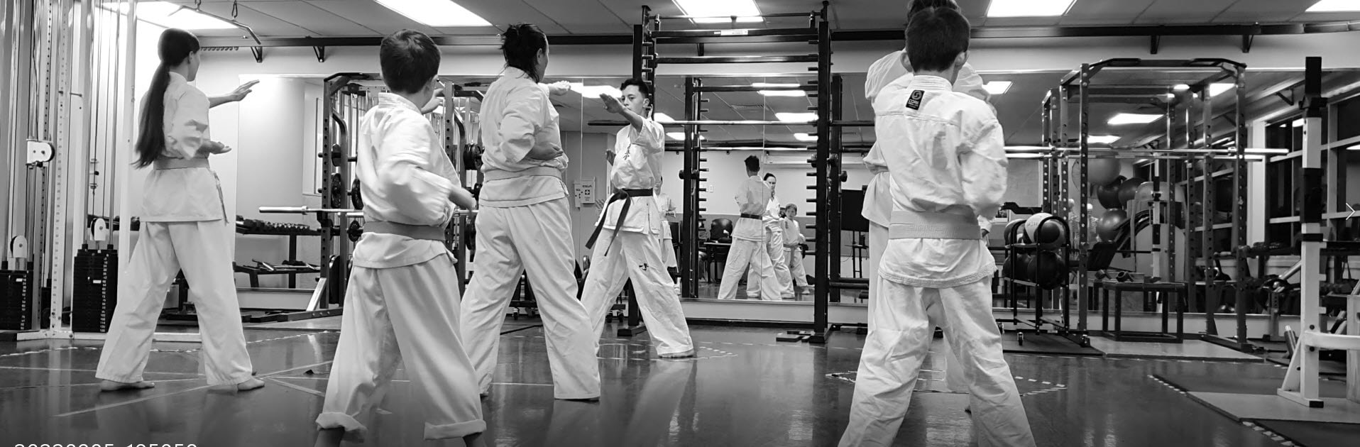 North Harbour Kyokushin Training — Education & Training in Auckland