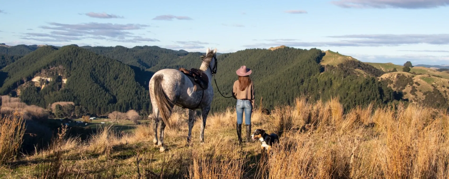 Kate Cregoe Design — Graphic Designers in Whanganui