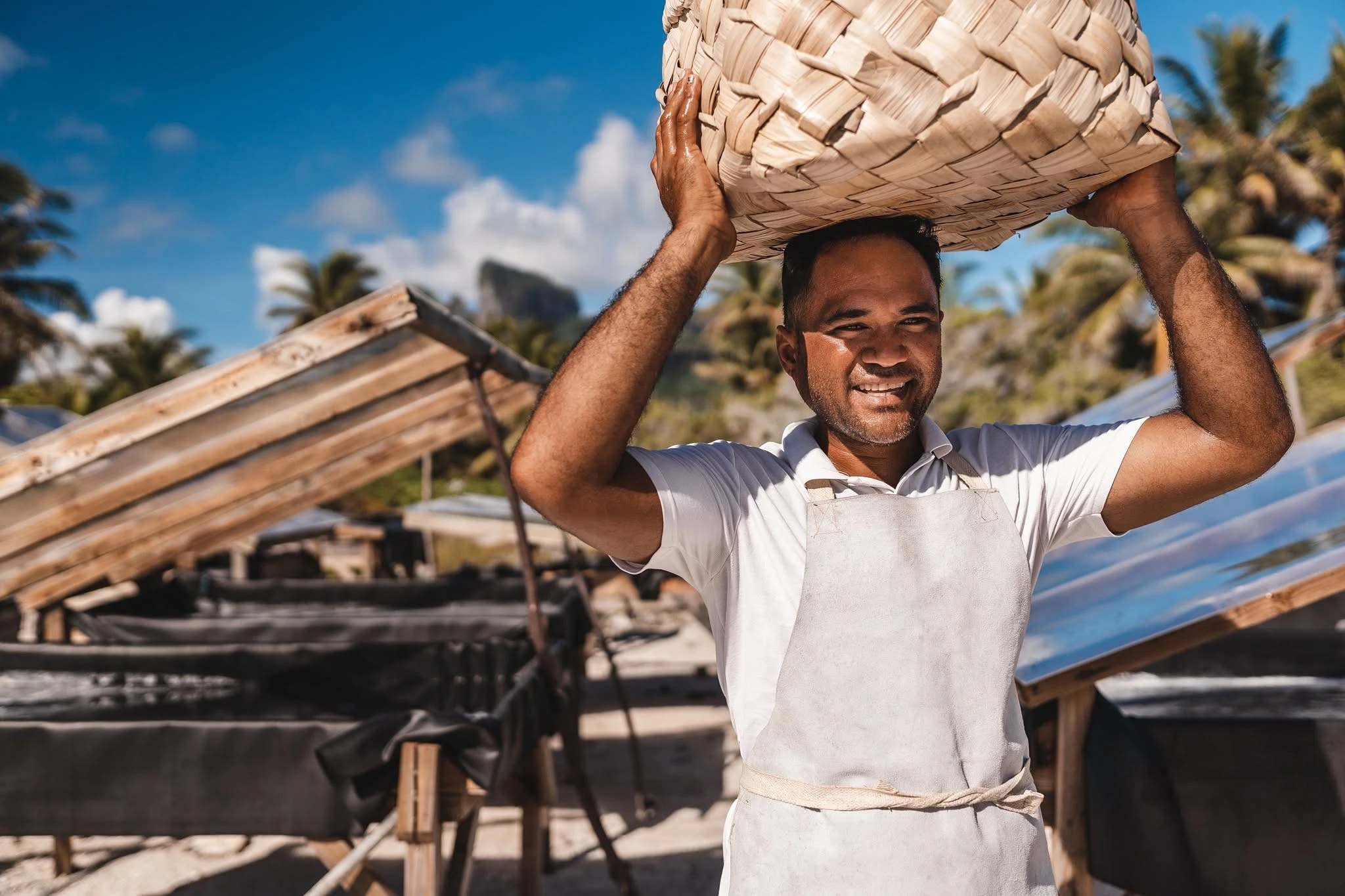 Pacific Islands Trade & Invest — Non Profit Organisations in Auckland