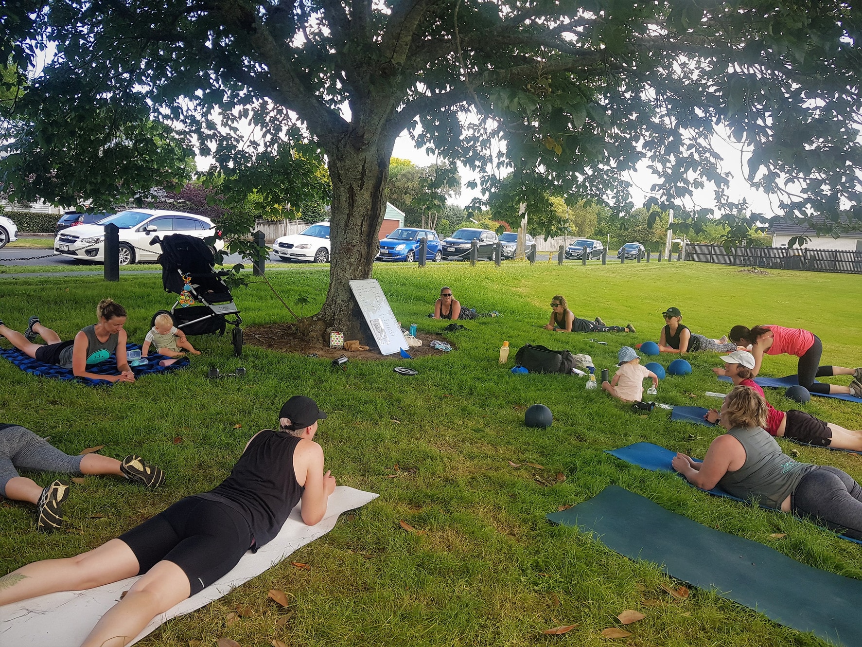 Fitness is Fun — Health & Wellness in Hamilton