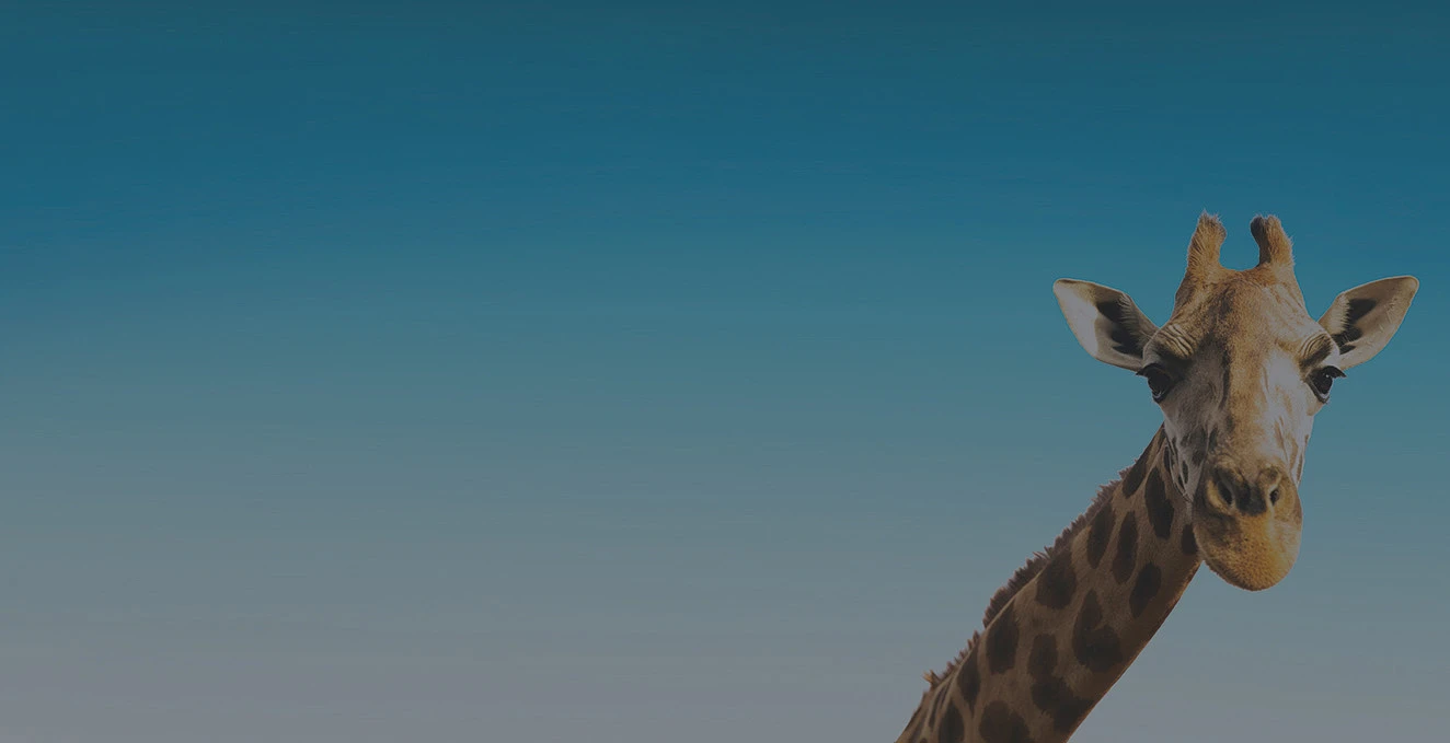 Experience On Tap Limited — Business Consultants in Auckland