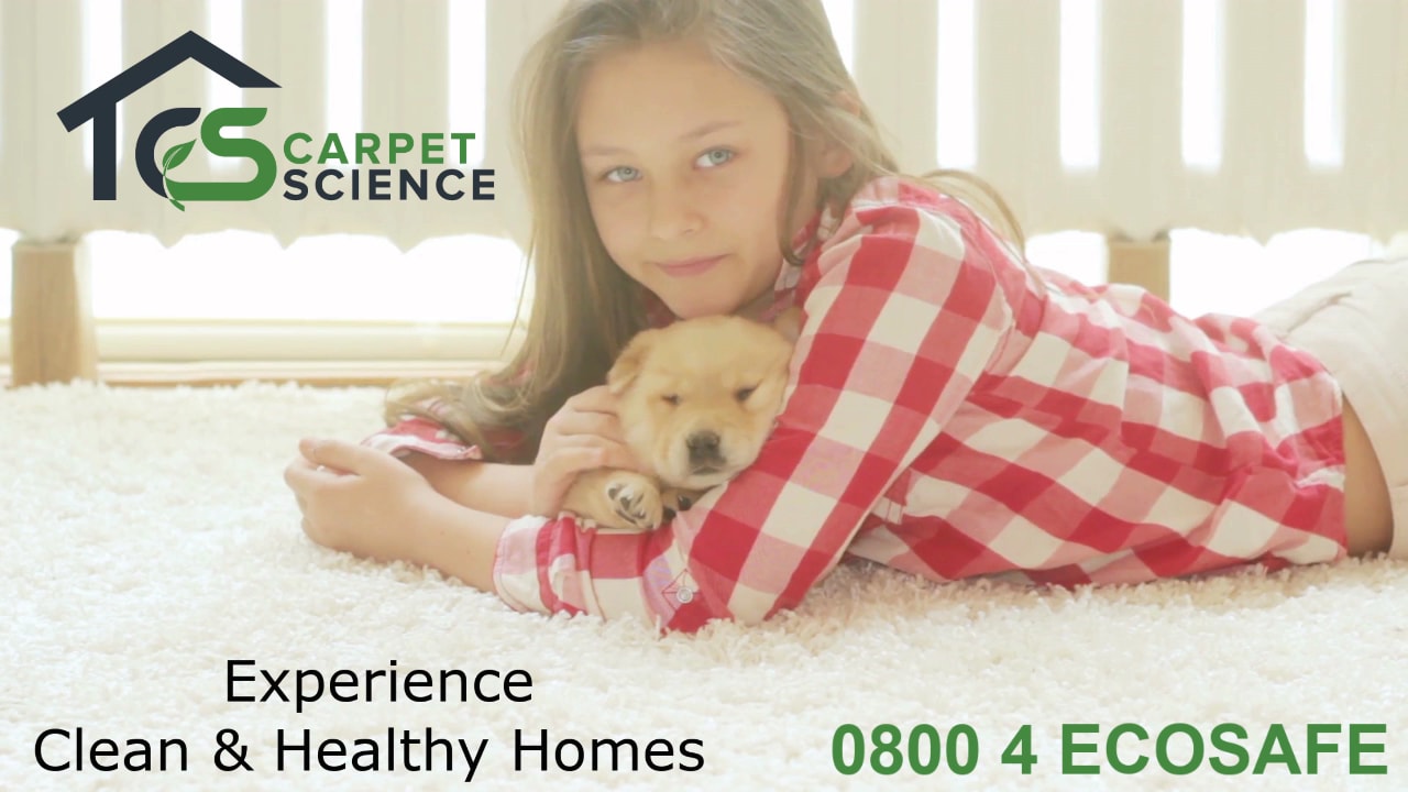 Carpet Science — Cleaning Services in Wellington