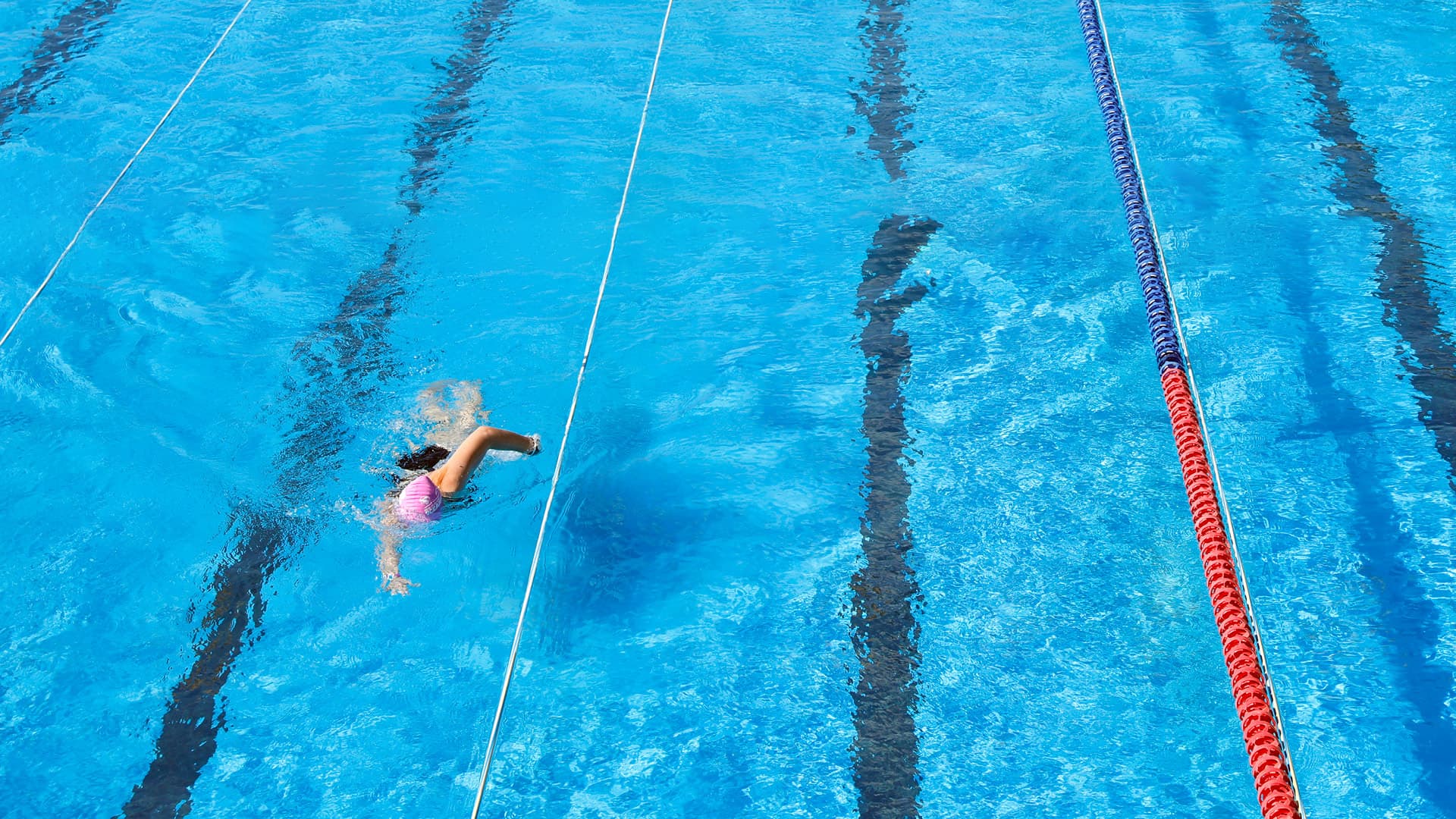 Todd Energy Aquatic Centre — Gyms in New Plymouth