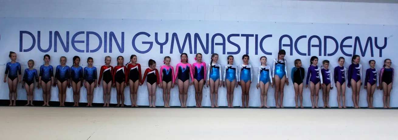 Dunedin Gymnastics Academy — Gyms in Dunedin