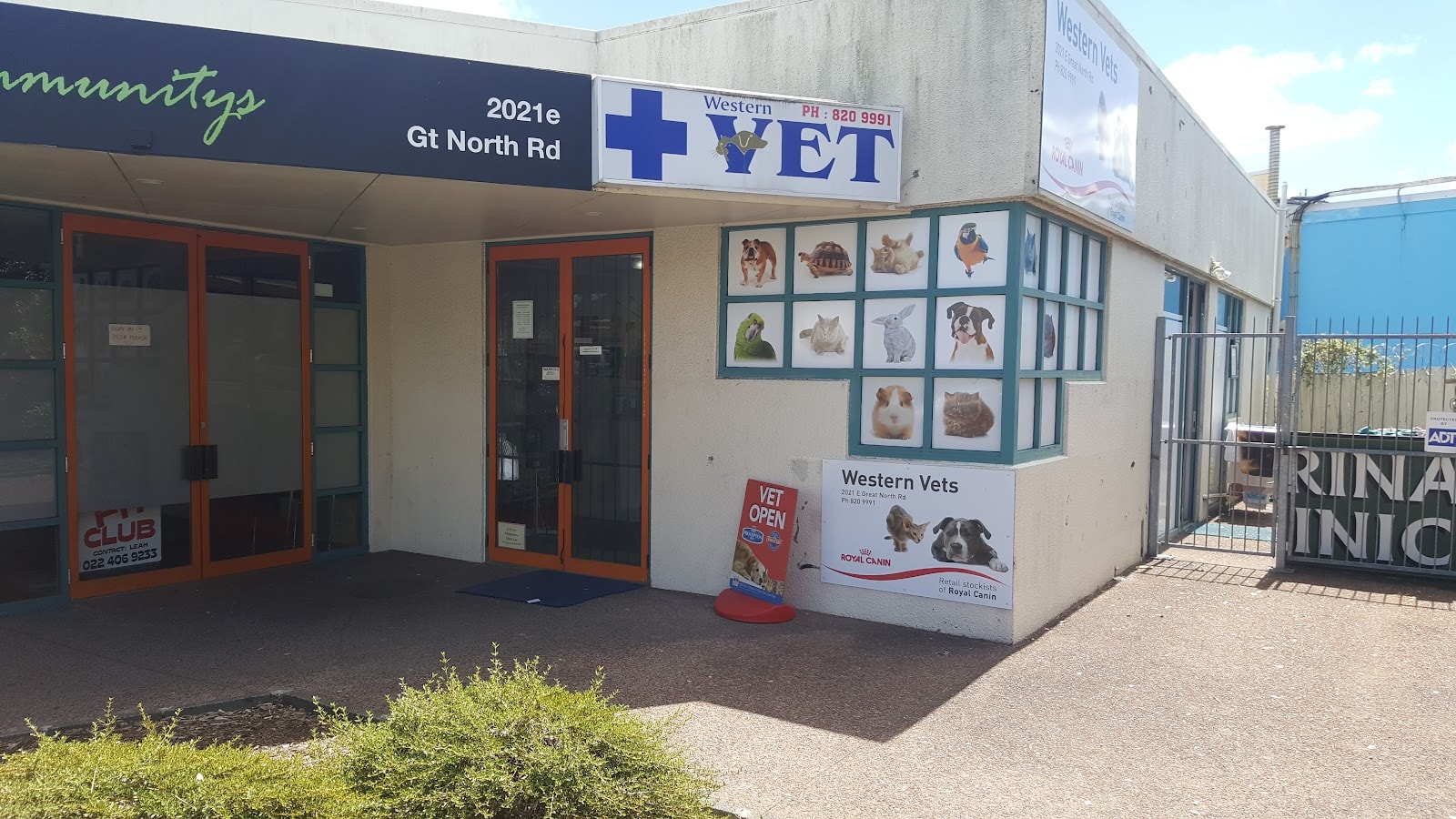 Auckland Veterinary Centre — Vets in Auckland