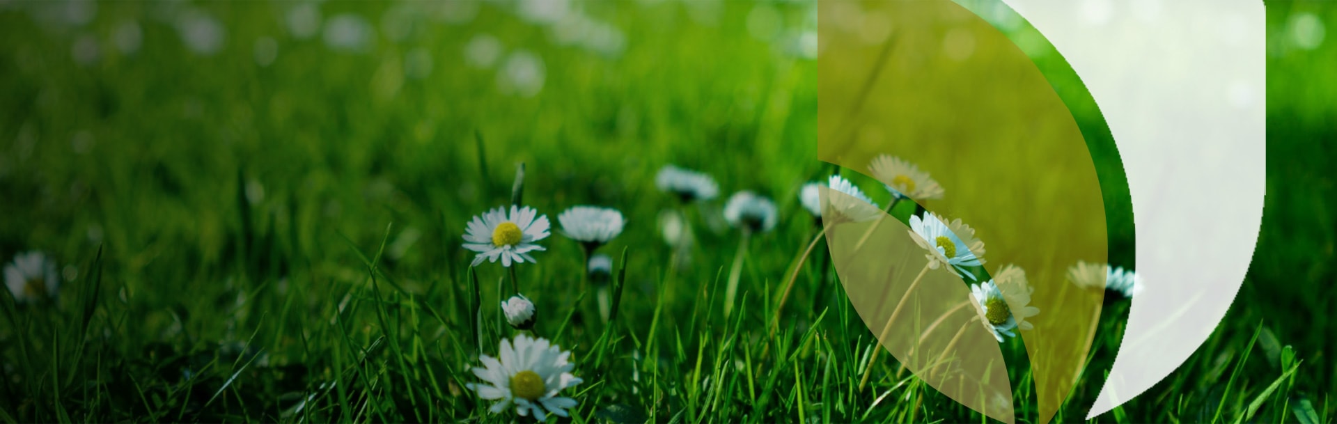 Outeriors — Landscaping Services in Napier