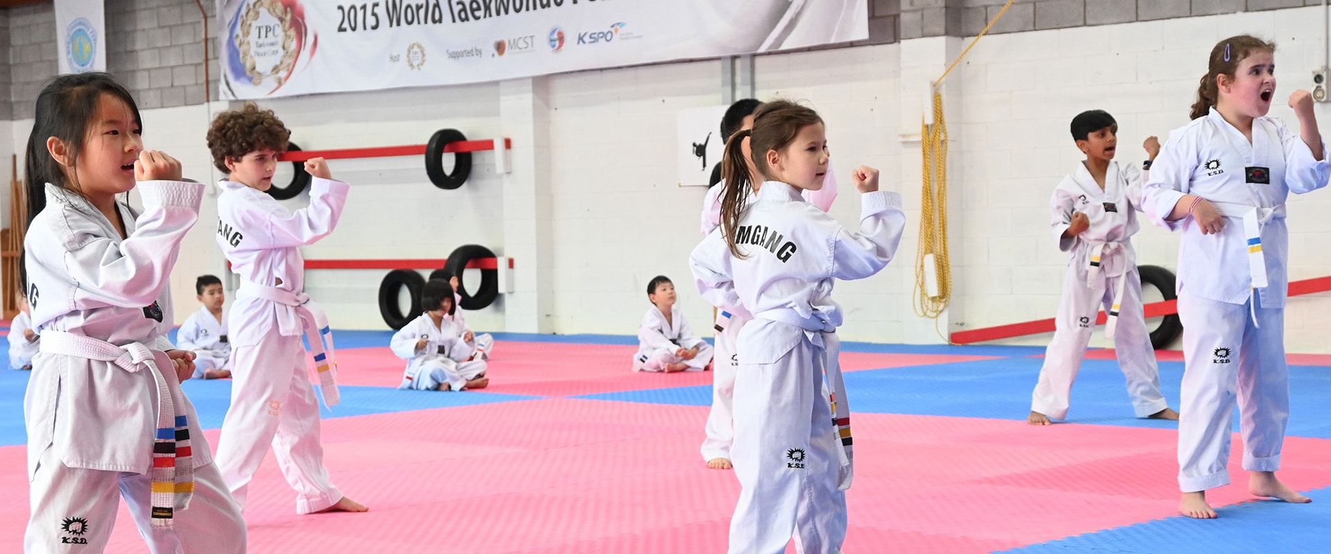 Kumgang Taekwondo — Gyms in Auckland