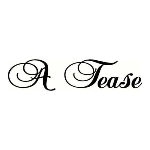 A Tease R18 Adult Shop